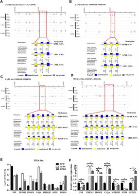 Integrative Genome-Wide DNA Methylome and Transcriptome Analysis of Ovaries from Hu Sheep with High and Low Prolific